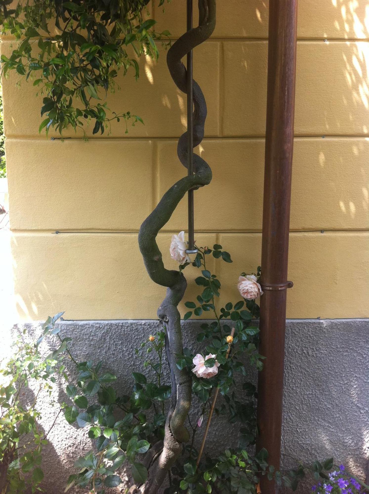 קומו Villa Corti Lakeview מראה חיצוני תמונה